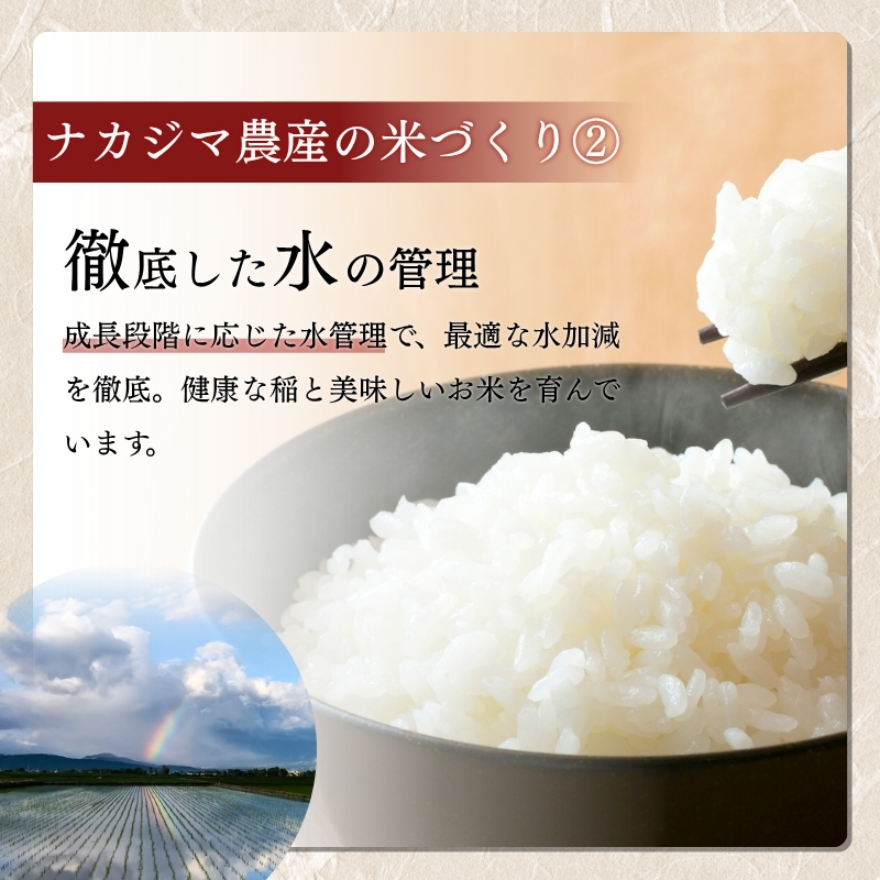 令和7年産 20kg 米 新潟県産 コシヒカリ  精白米 謙信秘蔵米  お米  おすすめ 新潟 新潟米 上越 上越産 上越米 ふるさと納税 上杉謙信 人気