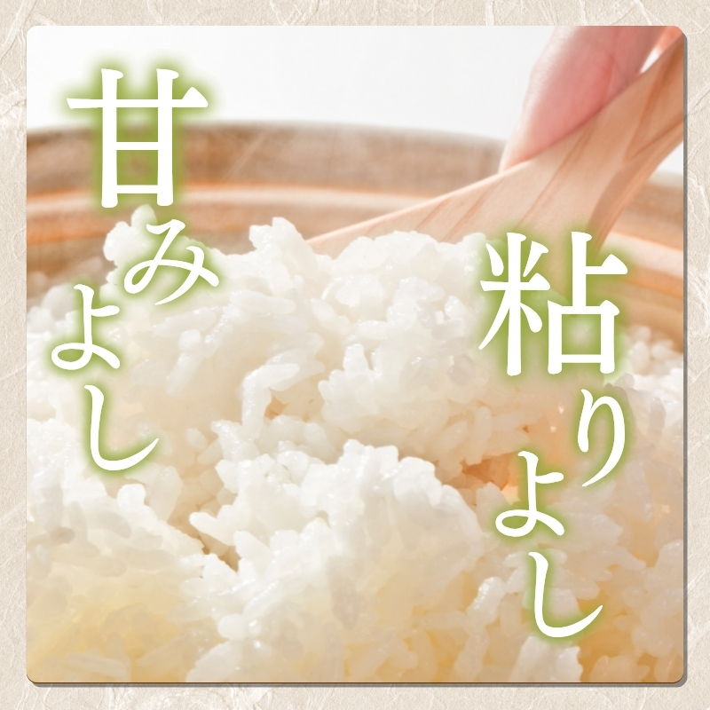 【先行予約】令和7年 新米 新潟県産コシヒカリ えちご上越米 10kg 新潟 米 新潟県 こしひかり 限定 おすすめ