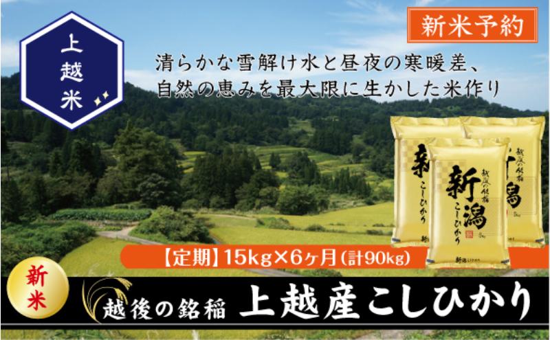 令和7年産 新潟県上越産こしひかり 精米 15kg 6か月定期便 上越市 米 コメ コシヒカリ