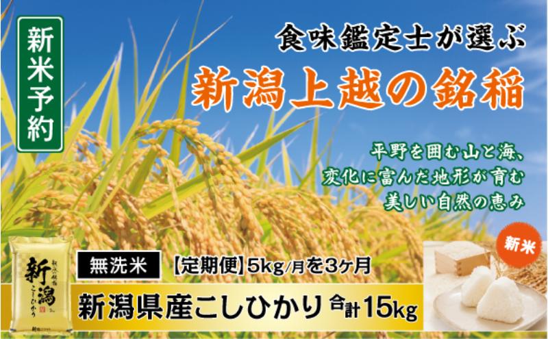 令和7年産 食味鑑定士厳選 新潟県産こしひかり 無洗米 5kg 3か月定期便 上越市 米 コメ コシヒカリ