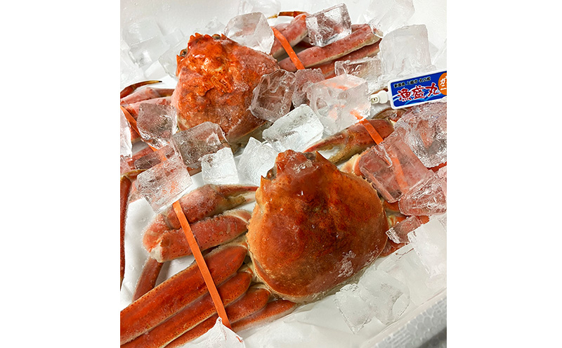 【先行予約商品　2025年11月末頃から順次発送します】名立産　本ずわいがに姿　2～3尾　合計約1.5kg　新潟 上越 ズワイガニ 冷凍カニ 海産物