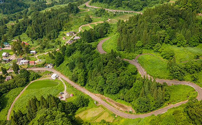 光ヶ原高原ヒルクライム エントリー権 1名分 イベント 体験 サイクリング 大会 参加権