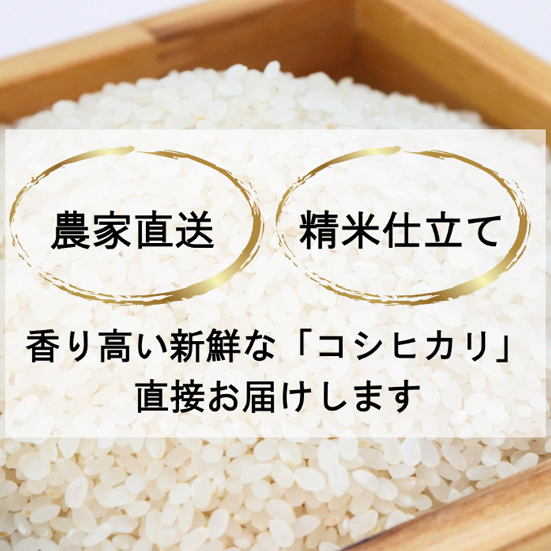 新米 令和7年 新潟県産 新之助 5kg 5キロ上越市清里区 新潟 精米 従来品種 希少 限定 送料無料