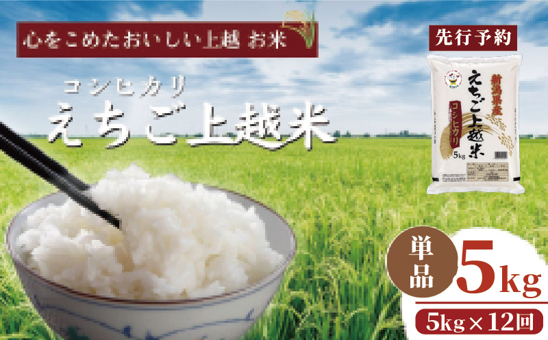 先行予約】令和7年 新米 新潟県産コシヒカリ えちご上越米 定期