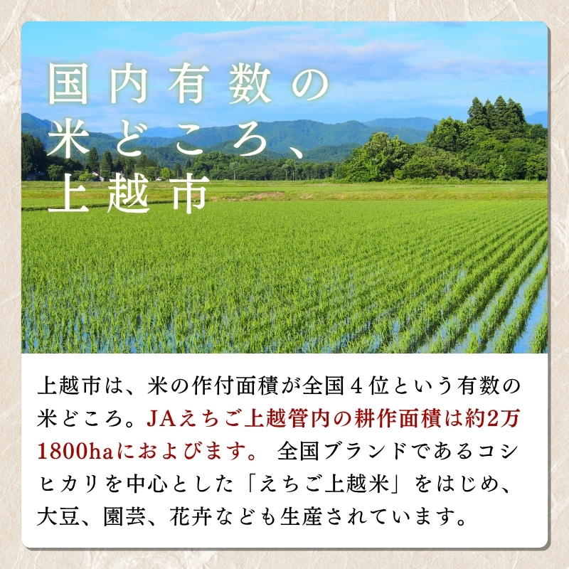 【先行予約】令和7年 新米 新潟県産コシヒカリ えちご上越米　定期便 【12ヶ月連続お届け】5kg×12回 60kg 新潟 米 新潟県 こしひかり 限定 おすすめ