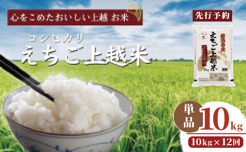 先行予約】令和7年 新米 新潟県産コシヒカリ えちご上越米 定期