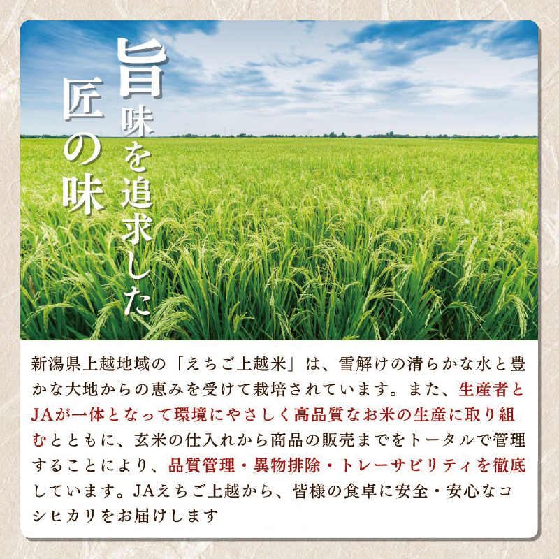 【先行予約】令和7年 新米 新潟県産コシヒカリ えちご上越米　定期便 【12ヶ月連続お届け】10kg×12回 120kg 新潟 米 新潟県 こしひかり 限定 おすすめ