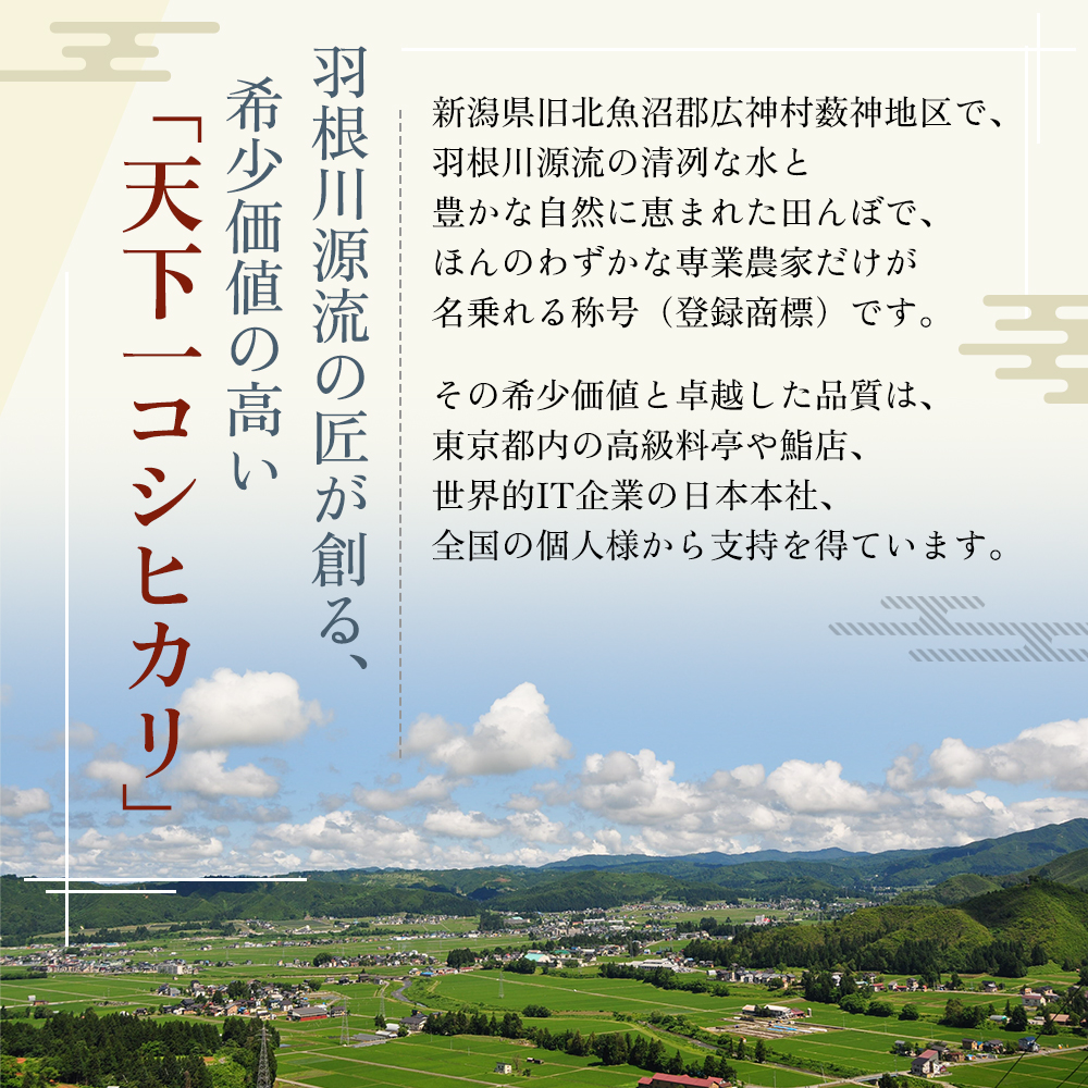 令和7年産 魚沼 天下一コシヒカリ（商標） 3kg 本当に旨い飯に おかずはいらない 魚沼産 コシヒカリ ( 米 お米 こめ コメ おこめ 白米 こしひかり ) 新潟県
