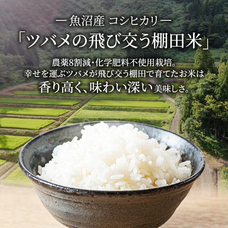 精米 ツバメの飛び交う棚田米 2kg×1袋 6ヵ月連続お届け　米 こめ お米 コメ こしひかり コシヒカリ 精米 新潟県 魚沼市 魚沼