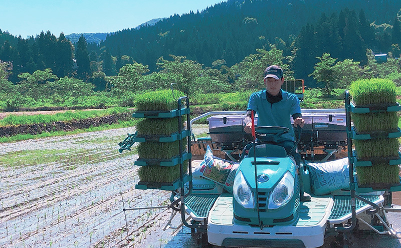 6か月定期便 魚沼産コシヒカリ 雪ノ王 精米5kg×6回 お米 精米 こしひかり 定期 魚沼 新潟