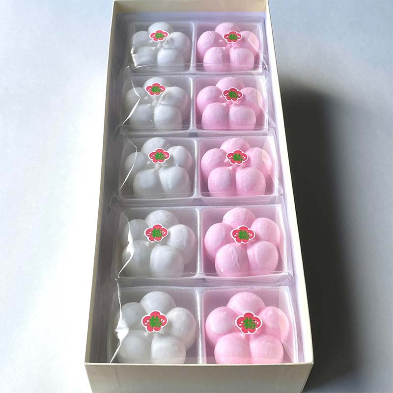 【2026年1月中旬以降発送】福薫る 10個入 御干菓子 和菓子 最中 もなか 松竹梅 山海堂  グルメ お菓子 菓子 食品 お土産 おやつ お茶請け お茶菓子 復興 震災 コロナ 能登半島地震復興支援 北陸新幹線 F6P-2045