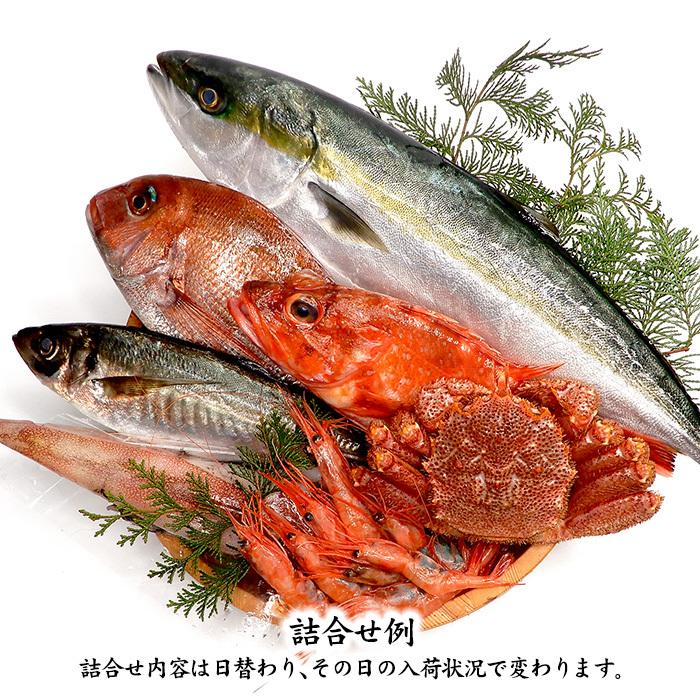 旬の鮮魚詰合せ 6～7種 下処理済み 旬 獲れたて 鮮魚 刺身用 詰合せ セット 海産物 海の幸 魚 魚介 おかず おつまみ 肴 国産 食品 復興 震災 コロナ 能登半島地震復興支援 北陸新幹線 F6P-0564