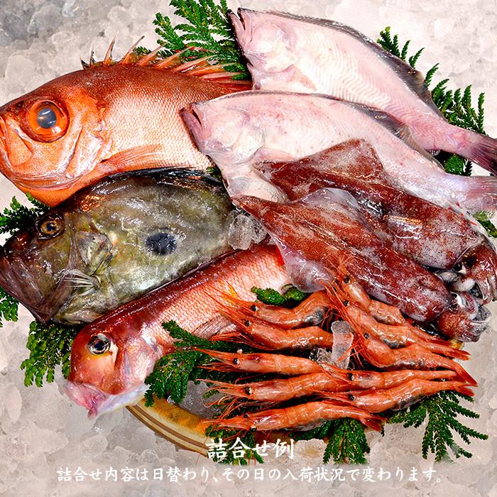 旬の鮮魚詰合せ 6～7種 下処理済み 旬 獲れたて 鮮魚 刺身用 詰合せ セット 海産物 海の幸 魚 魚介 おかず おつまみ 肴 国産 食品 復興 震災 コロナ 能登半島地震復興支援 北陸新幹線 F6P-0564