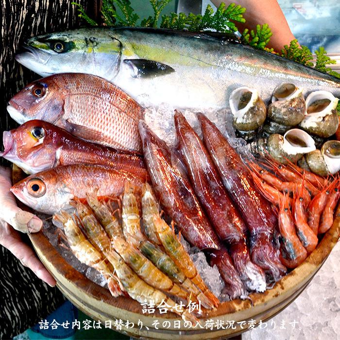旬の鮮魚詰合せ 6～7種 下処理済み 旬 獲れたて 鮮魚 刺身用 詰合せ セット 海産物 海の幸 魚 魚介 おかず おつまみ 肴 国産 食品 復興 震災 コロナ 能登半島地震復興支援 北陸新幹線 F6P-0564