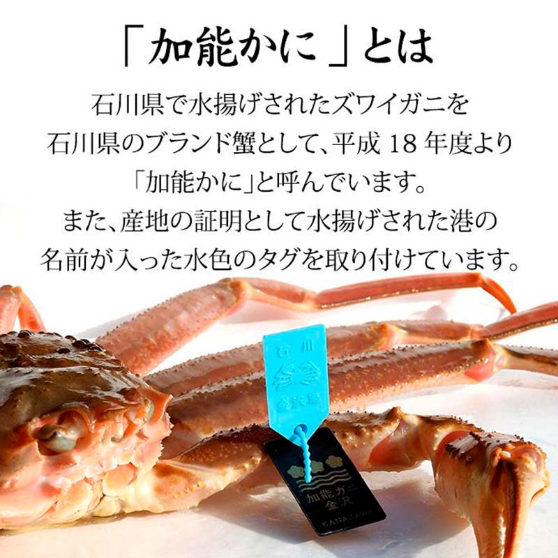 石川県産 加能かに ズワイガニ ( 産地証明タグ付 ) 大サイズ 2匹 + 香箱かに 5匹 詰合せ ( 4～5人前 ) 12月16日～12月26日発送 食べ比べ セット ズワイガニ ずわいがに 産地証明 先行予約 予約 ブランド蟹 ボイル 茹で 蟹 かに F6P-2767