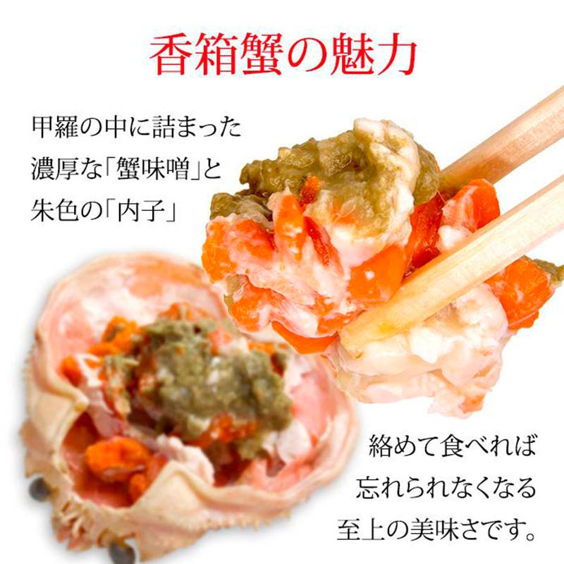 石川県産 加能かに ズワイガニ ( 産地証明タグ付 ) 大サイズ 2匹 + 香箱かに 5匹 詰合せ ( 4～5人前 ) 12月16日～12月26日発送 食べ比べ セット ズワイガニ ずわいがに 産地証明 先行予約 予約 ブランド蟹 ボイル 茹で 蟹 かに F6P-2767