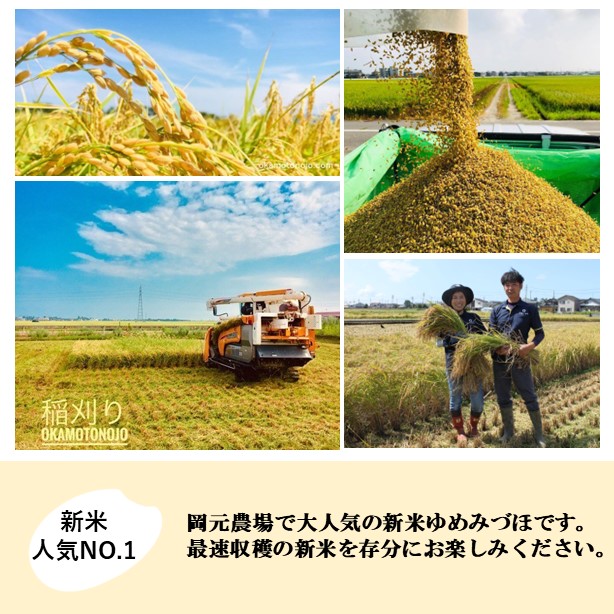 【日本農業賞大賞】【令和7年産】ゆめみづほ3kg精白米 お米 精米銘柄米 ご飯 おにぎり お弁当 和食 産地直送 粘りが少ない 精米したて 一等米