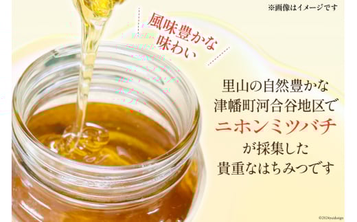※廃番※はちみつ 里山ひめみつ 250g×1 [里山養蜂 坂本稔 石川県 津幡町 28af0001] 蜂蜜 ハチミツ 純粋はちみつ ハニー 蜜