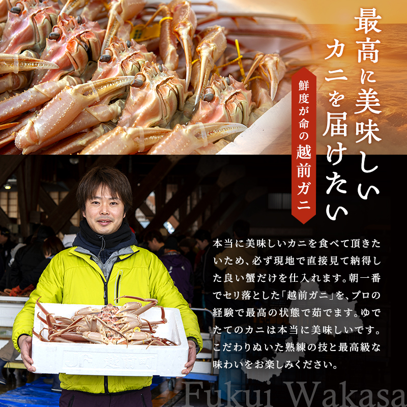期間限定 茹で 越前ガニ 約800g以上 1杯 配送 食通もうなる本場の味をぜひ、ご堪能ください 越前かに 蟹 カニ かに ボイルカニ ボイル蟹 ポーション ズワイガニ 海鮮 限定 福井 福井県 若狭町