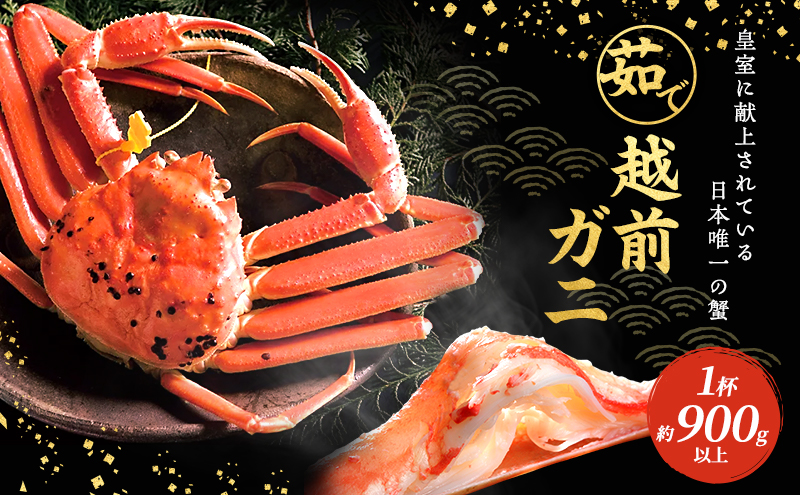 期間限定 茹で 越前ガニ 約900g以上 1杯  食通もうなる本場の味をぜひご堪能ください 茹でガニ 越前カニ 越前蟹 ズワイガニ カニ 蟹 ボイルカニ ボイル蟹 魚介 海鮮 限定 福井 福井県 若狭町