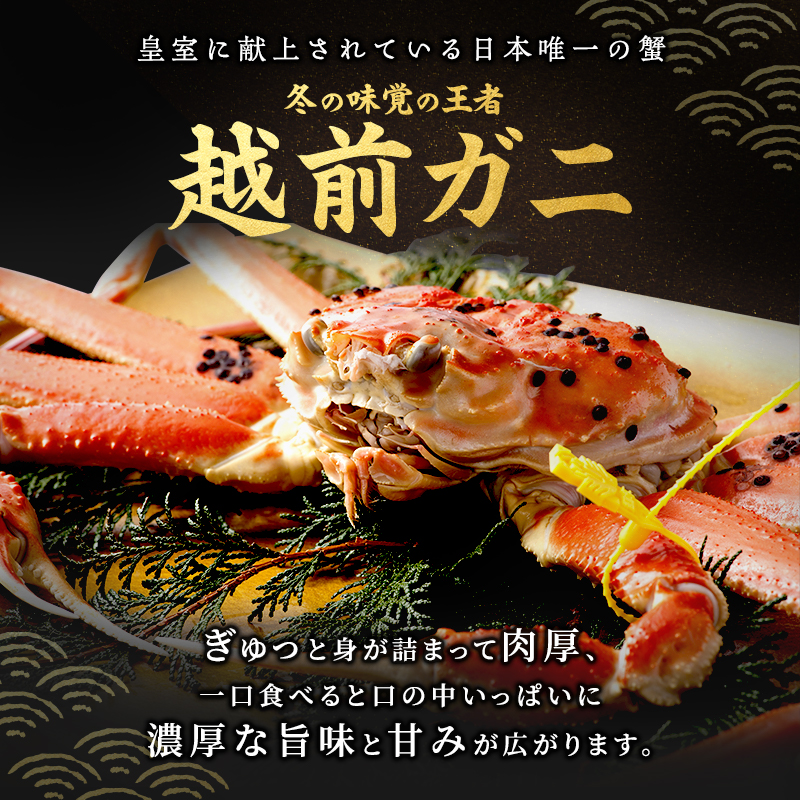 期間限定 茹で 越前ガニ 約900g以上 1杯  食通もうなる本場の味をぜひご堪能ください 茹でガニ 越前カニ 越前蟹 ズワイガニ カニ 蟹 ボイルカニ ボイル蟹 魚介 海鮮 限定 福井 福井県 若狭町