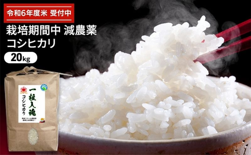 令和6年産 栽培期間中減農薬 コシヒカリ 20kg　白米