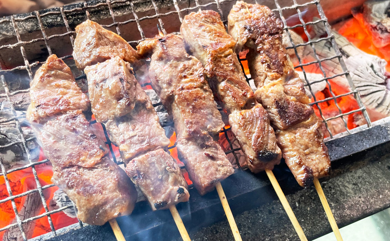 牛串 10本 牛肉 肉 焼肉 焼き肉 バーベキュー 冷凍 福井県 若狭町