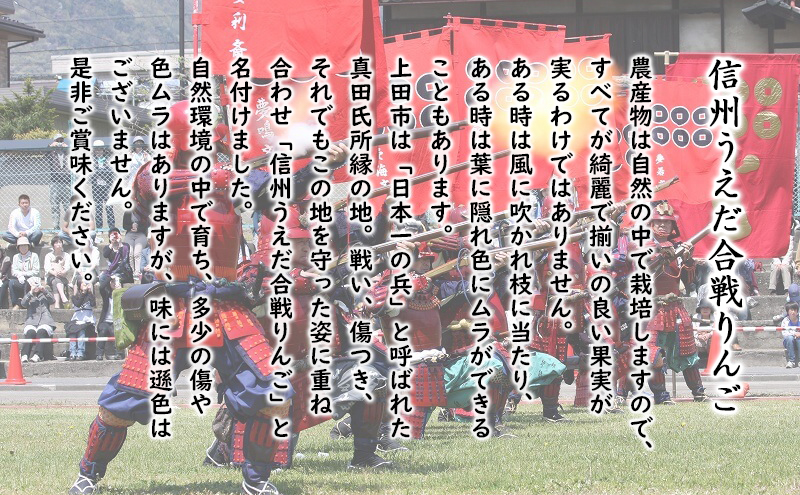 訳あり りんご JA信州うえだ 合戦りんご サンふじ 約5kg（10玉～20玉） リンゴ 林檎 ふじ 果物 くだもの フルーツ 信州 長野 離乳食 訳アリ わけあり 傷