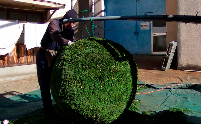 日本酒 長野 福無量 純米吟醸 720ml 酒 お酒 アルコール 冷酒 フルーティー 甘口 女性 ギフト プレゼント 贈答 贈答用 贈答品 贈り物 ひとごこち 吟醸 吟醸酒 純米吟醸酒 信州 長野県 上田市 上田