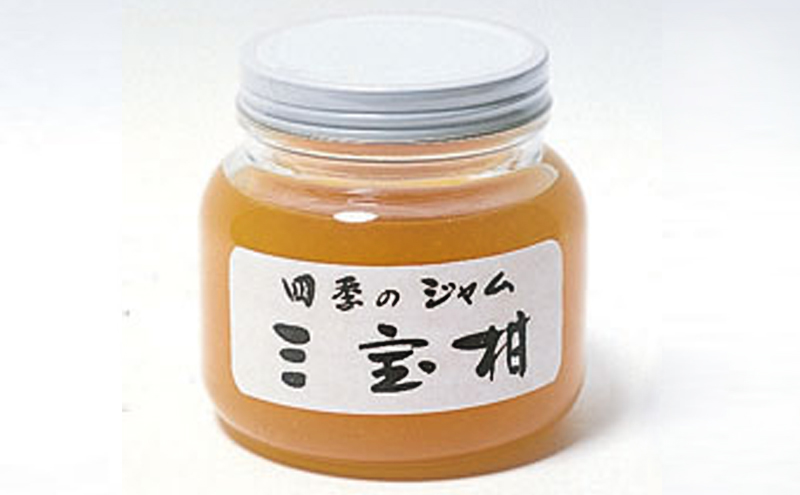 ジャム 長野 四季のジャム 三宝柑 2個 セット 飯島商店 みかんジャム みかん 柑橘 朝ごはん 朝食 パン フルーツ 果物 デザート スイーツ ギフト プレゼント 贈答 贈り物 調味料 加工食品 ミカンジャム ミカン 蜜柑 長野県 上田市 上田