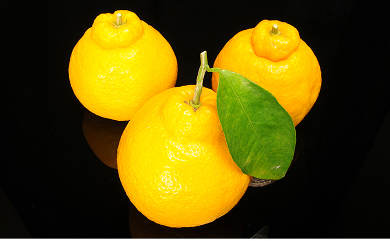 ジャム 長野 四季のジャム 三宝柑 2個 セット 飯島商店 みかんジャム みかん 柑橘 朝ごはん 朝食 パン フルーツ 果物 デザート スイーツ ギフト プレゼント 贈答 贈り物 調味料 加工食品 ミカンジャム ミカン 蜜柑 長野県 上田市 上田