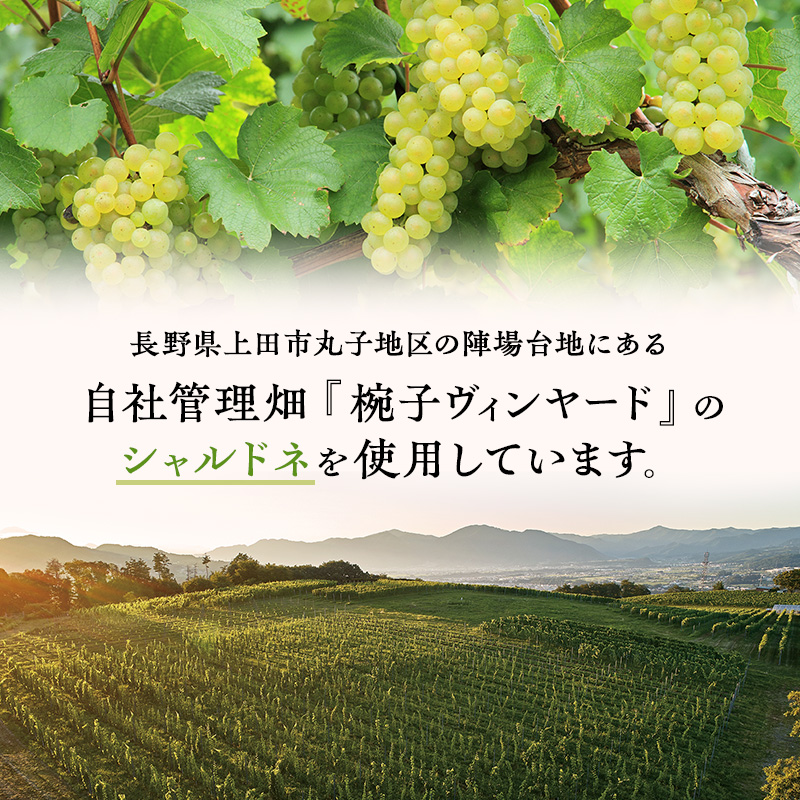 ワイン 椀子シャルドネ 750ml 3本 シャトー・メルシャン シャルドネ 白ワイン 辛口 お酒 酒 アルコール ギフト 贈り物 プレゼント	