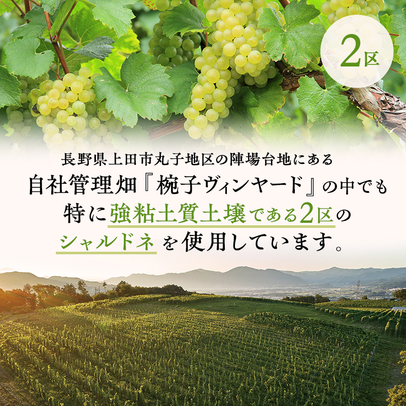 限定 ワイン 椀子シャルドネ ブロック2 750ml 3本 椀子ワイナリー限定品 シャトー・メルシャン シャルドネ 白ワイン 辛口 お酒 酒 アルコール ギフト 贈り物 プレゼント