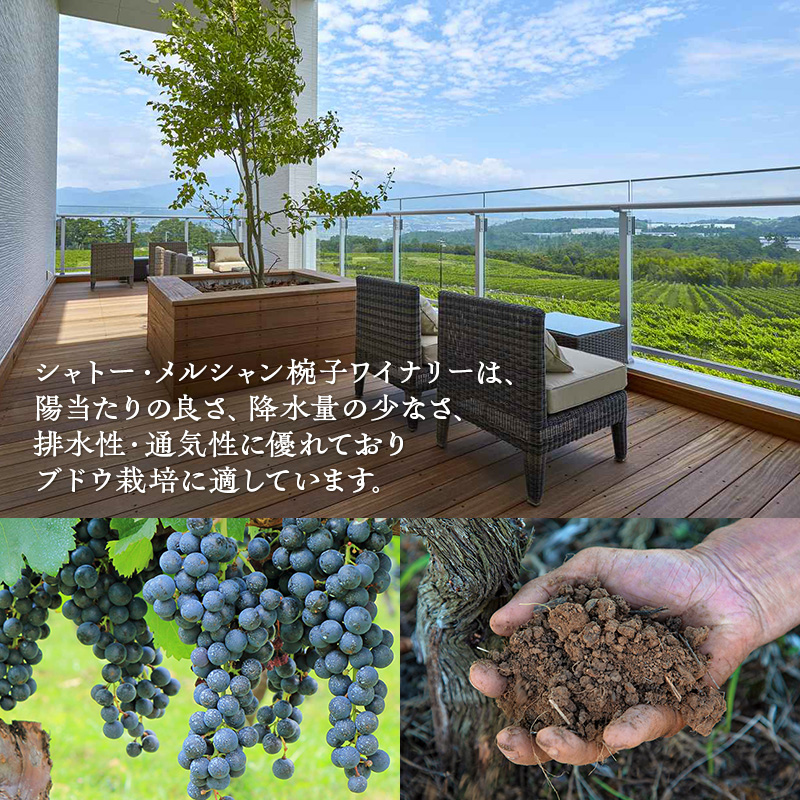 限定 ワイン 椀子シャルドネ ブロック2 750ml 3本 椀子ワイナリー限定品 シャトー・メルシャン シャルドネ 白ワイン 辛口 お酒 酒 アルコール ギフト 贈り物 プレゼント