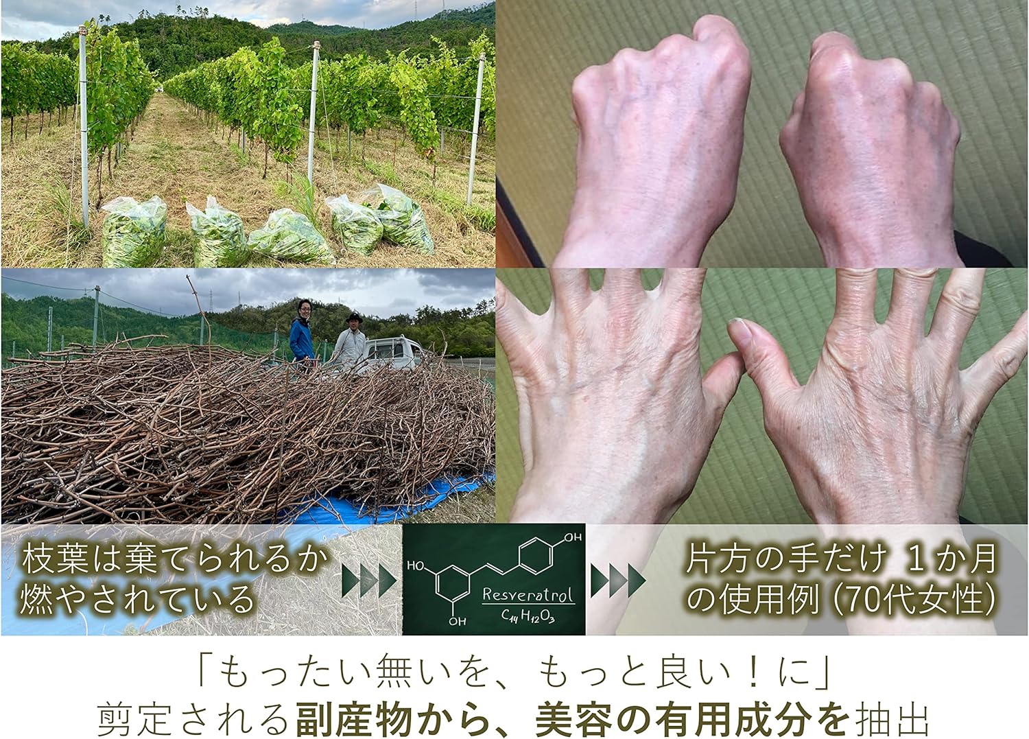 美容乳液 50ml 2本セット オーガニック認証 エイジングケア 高濃度 レスベラトロール 天然由来100％ 無添加 敏感肌 目元 シワ 紫外線ケア 肌キメ シェアコスメ メンズ にも 約4か月分