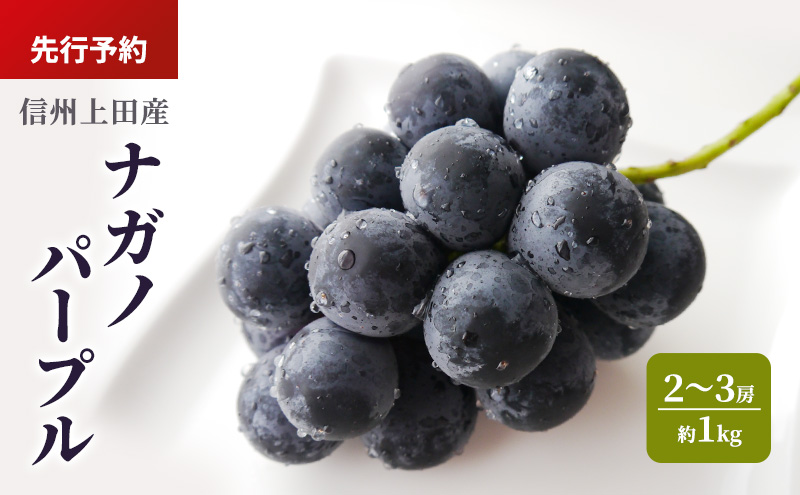 ナガノパープル 信州上田産 約1kg 2～3房 ぶどう ブドウ 葡萄 ナガノパープル 1kg 種なし 果物 くだもの フルーツ デザート 旬の果物 旬のフルーツ 長野県 長野 上田市