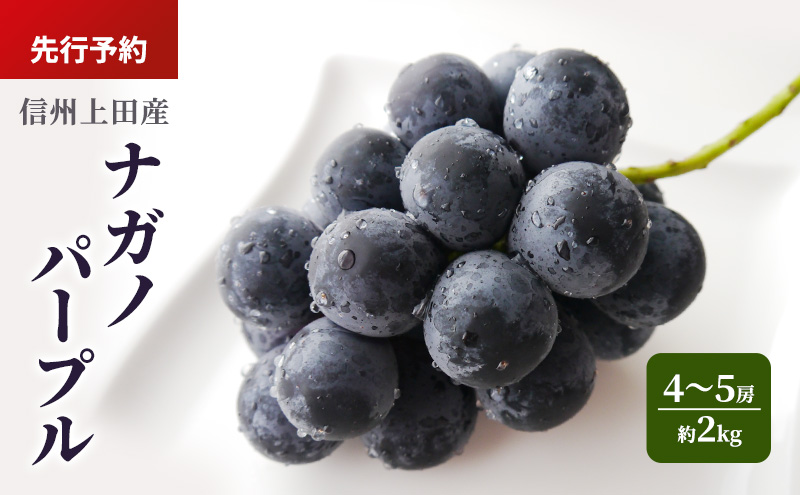 ナガノパープル 信州上田産 約2kg 4～5房 ぶどう ブドウ 葡萄 ナガノパープル 2kg 種なし 果物 くだもの フルーツ デザート 旬の果物 旬のフルーツ 長野県 長野 上田市