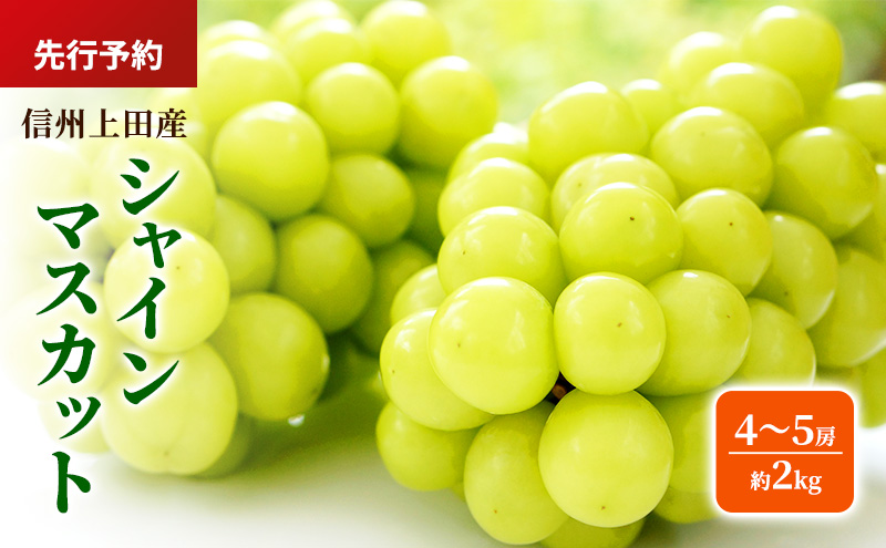 シャインマスカット 信州上田産 約2kg 4～5房 ぶどう ブドウ 葡萄 マスカット 2kg 果物 くだもの フルーツ デザート 旬の果物 旬のフルーツ 長野県 長野 上田市