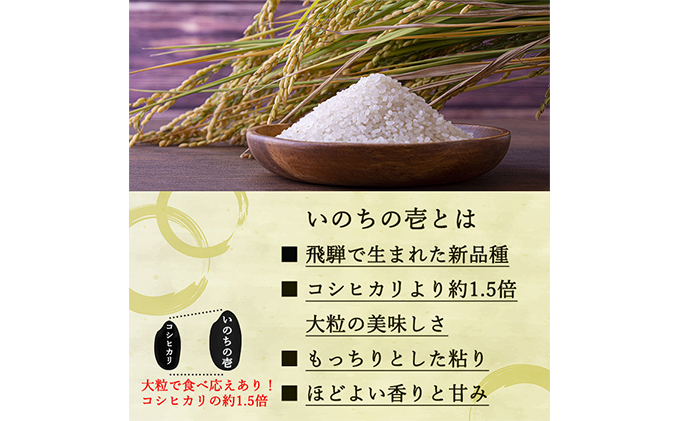 新米 予約 ベストファーマーズ賞受賞 いのちの壱 無洗米 5kg 無農薬 無添加 令和7年産 米 お米 5キロ お試し 白米 精米 産地直送 こめ おこめ コシヒカリ 送料無料 長野 長野県 小諸 小諸市