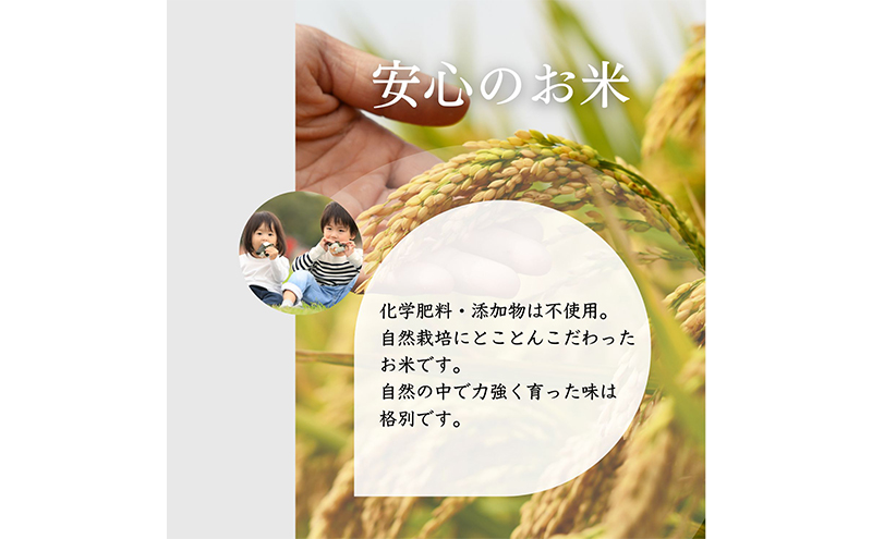 ミルキークイーン いのちの壱 食べ比べ セット 白米 4kg ( 2kg ×2袋) 無農薬 無添加 令和7年産 米 お米 2キロ チャック付 チャック 小分け 少量 少量パック お試し 白米 精米 一等米 産地直送 送料無料 長野
