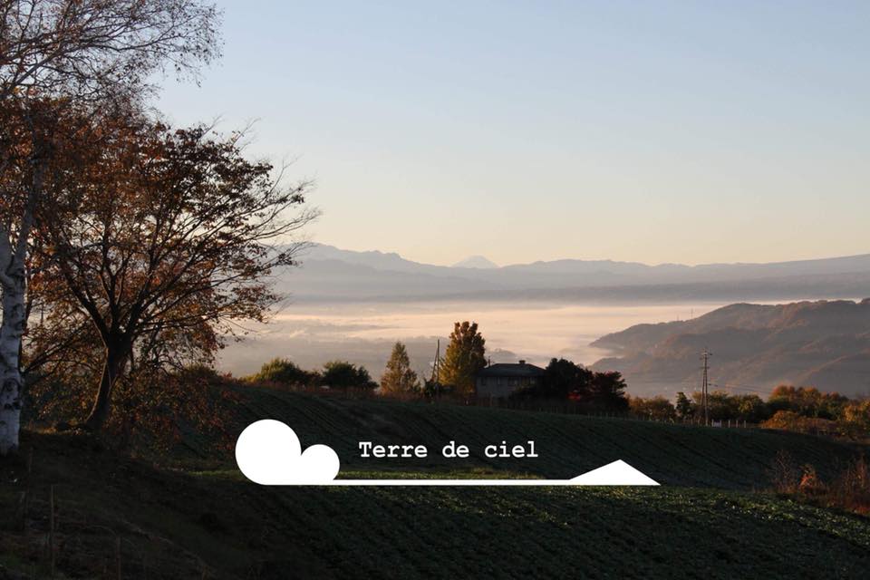 ワイン 6本セット 赤ワイン 白ワイン お酒 酒 アルコール 長野県 小諸市 小諸 ギフト プレゼント