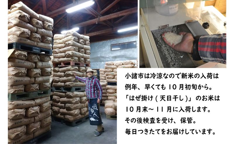 想像を超えての 米 はぜ掛けコシヒカリ 食べ比べ 特A地区小諸市御牧ヶ原産 その他