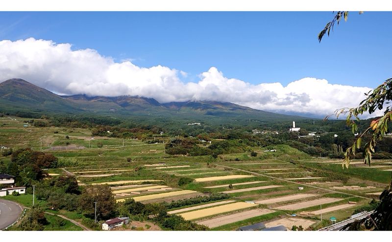 米 信州小諸産マイスターブレンド米【白米／1kg】 コシヒカリ あきたこまち ひとめぼれ コメ お米 ごはん ご飯 信州 長野県 小諸市