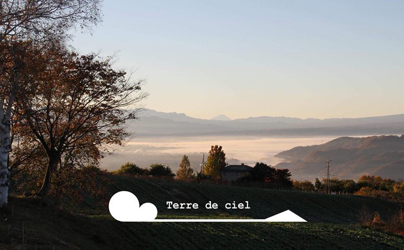 ワイン 2024 メゾンローズ 750ml 赤ワイン お酒 酒 アルコール 長野県 小諸市 小諸 ギフト プレゼント ※配送不可:離島