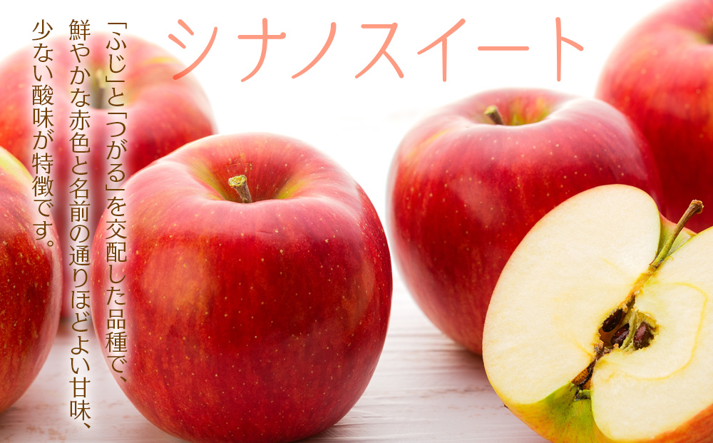 訳あり りんご 上伊那産 シナノスイート 4.5kg 16～18玉 林檎 リンゴ 傷 キズ 果物 くだもの フルーツ 旬の果物 旬のフルーツ 家庭用 訳アリ 信州 長野 長野県