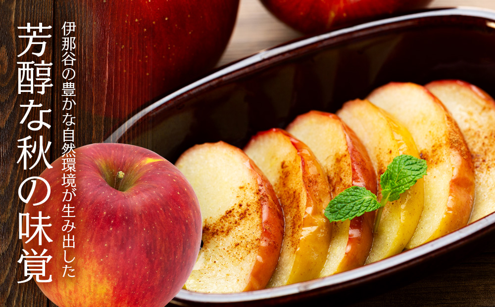 訳あり りんご 上伊那産 シナノスイート 4.5kg 16～18玉 林檎 リンゴ 傷 キズ 果物 くだもの フルーツ 旬の果物 旬のフルーツ 家庭用 訳アリ 信州 長野 長野県