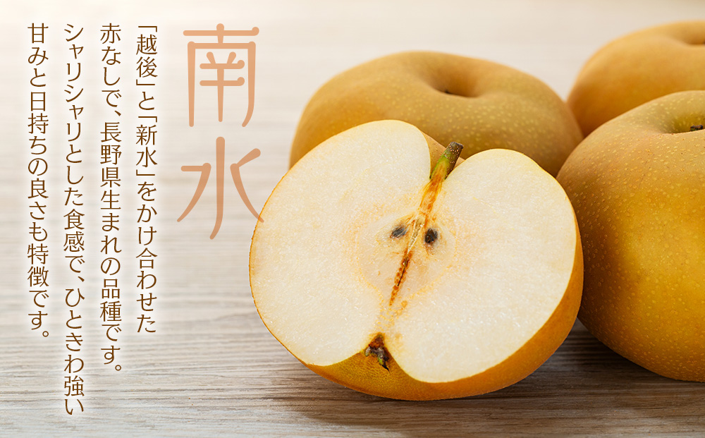 贈答用 梨 南水 4kg 10～12玉 なし ナシ 果物 くだもの フルーツ 旬の果物 旬のフルーツ ギフト 贈り物 プレゼント 信州 長野 長野県 ※オンライン決済限定