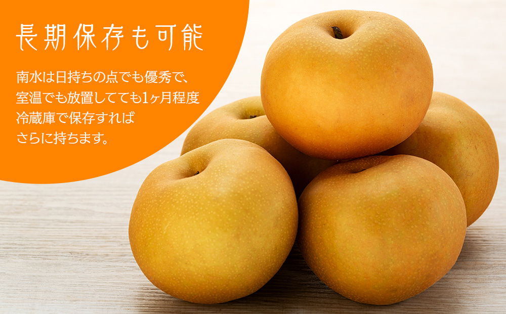 贈答用 梨 南水 4kg 10～12玉 なし ナシ 果物 くだもの フルーツ 旬の果物 旬のフルーツ ギフト 贈り物 プレゼント 信州 長野 長野県 ※オンライン決済限定