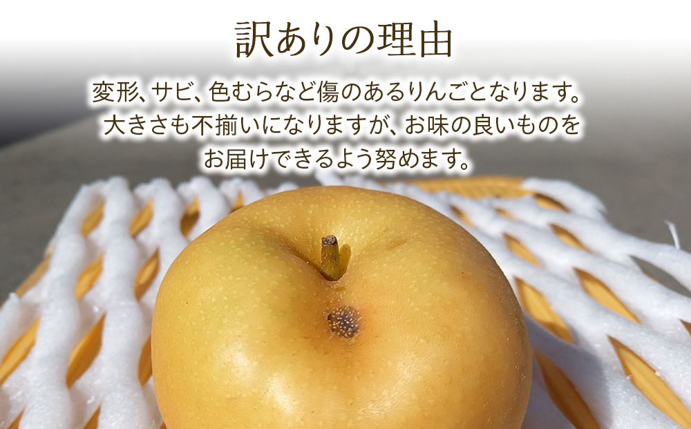 訳あり 梨 南水 4kg 8～12玉 南水梨 なし ナシ 傷 キズ 果物 くだもの フルーツ 旬の果物 旬のフルーツ 家庭用 訳アリ 信州 長野 長野県
