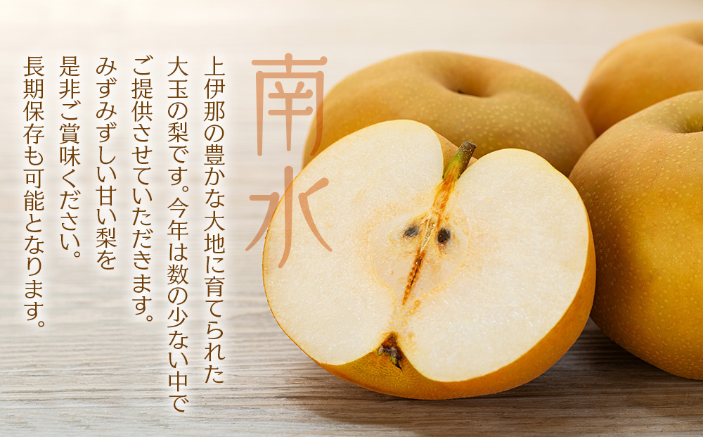 訳あり 梨 南水 4kg 8～12玉 南水梨 なし ナシ 傷 キズ 果物 くだもの フルーツ 旬の果物 旬のフルーツ 家庭用 訳アリ 信州 長野 長野県